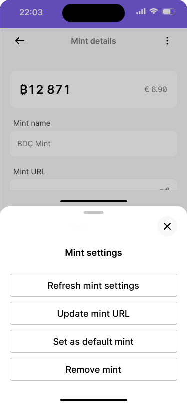 A mobile ecash wallet with a bottom sheet that lists the following actions, refresh mint settings, update mint url, set as default mint, and remove mint.