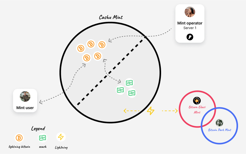 An illustration of how users, ecash, and a Cashu mint interact.