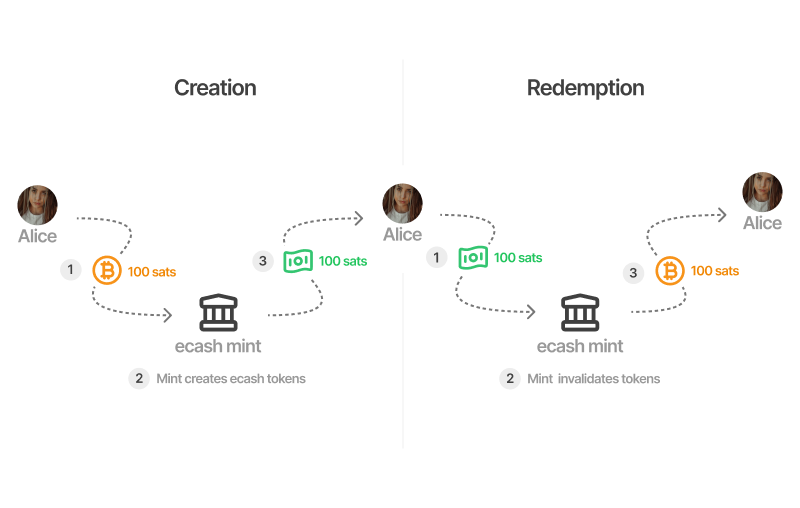 Diagram illustrating the creation and redemption of ecash by Alice. On the left side, under ‘Creation,’ Alice sends 100 sats to an ecash mint, which creates ecash tokens, and Alice receives 100 sats in ecash form. On the right side, under ‘Redemption,’ Alice sends 100 sats in ecash form to the mint, which burns the ecash tokens, and Alice receives 100 sats back in Bitcoin. The process flow is represented with dashed arrows and labeled steps.