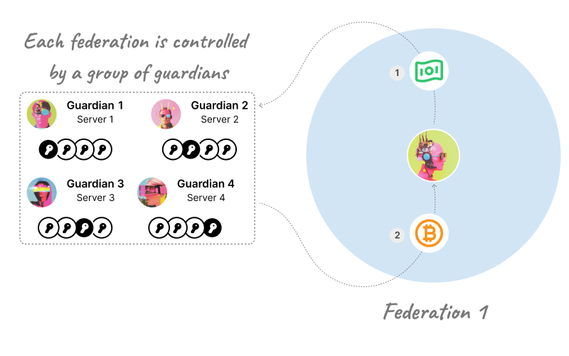 Diagram showing Federation 1 controlled by four guardians, each with a server and a set of keys. Federation 1 includes a user, an ecash icon, and a bitcoin icon connected by dashed lines.