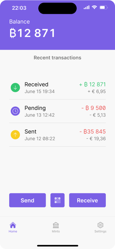 A payment history that shows received, pending, and sent payments each with their own visual indicator.