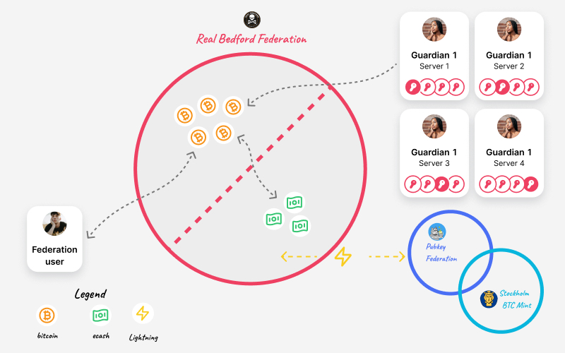 An illustration of how users, ecash, and a single guardian mint interact.